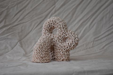 Cb26 Annamarra Dana Zvulun2