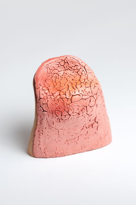 Cb26 Osnova Arina Antonova Tongue Sculpture 2023 30x25x10cm Stoneware Porcelain Pigments Courtesy Of The Artist And Osnova 01