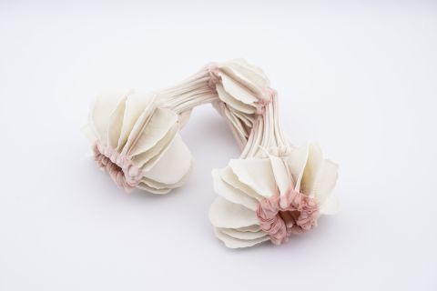 Cb26 Skog Art Space Daniela Bergschneider Credit Thor Brdreskift 21min