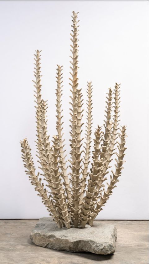 Cb26 Ponce Y Robles Y Jorge Lopez Galerias Chiqui Garcia Planta Roca De Granito Seleccionada Varilla De Bronce Y Ceramica Gres Modelada A Mano Cocida A 1250c 182x85x89cm 2012 2024