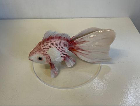 Cb26 Yod Gallery Ayumi Okayasu Goldfish Porcelain 17x7x9 2024