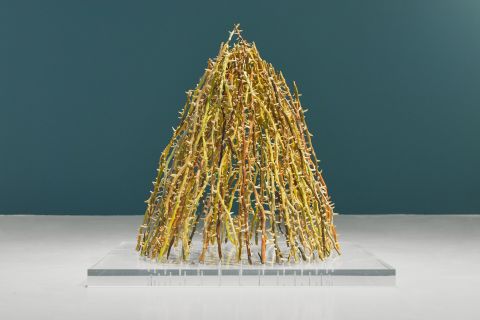 Cb26 Nika Neelova Beghost Fossilised Shark Teeth Clay Oil Paint Acrylic Base 75x75x70cm Alexei Kostromin 2025 